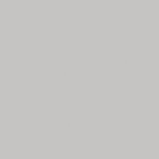 BACKPAINTED GLASS GRIS J6