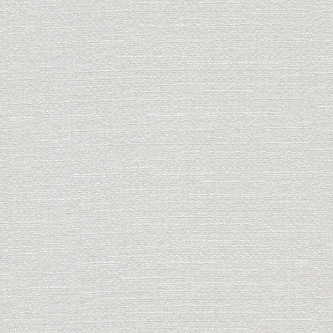 WARP SPEED MEMO SAMPLE