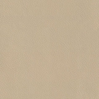 MERUS MEMO SAMPLE