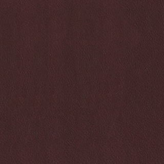 MERUS MEMO SAMPLE