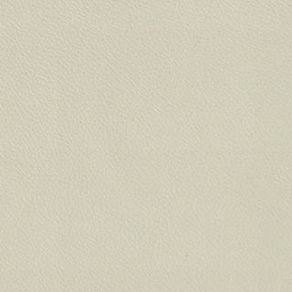 MERUS MEMO SAMPLE