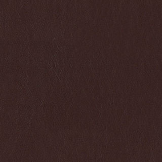PELA MEMO SAMPLE