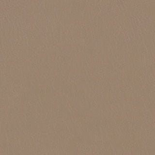 PELA MEMO SAMPLE