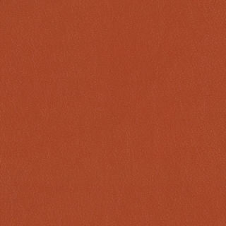PELA MEMO SAMPLE