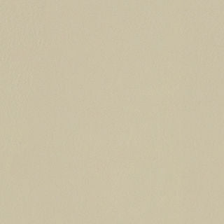 PELA MEMO SAMPLE