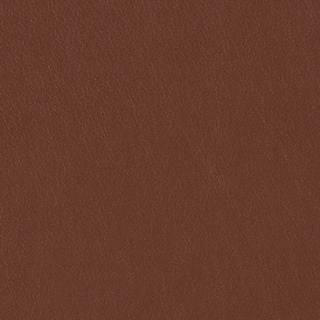 PELA MEMO SAMPLE