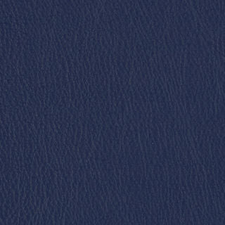 PELA MEMO SAMPLE