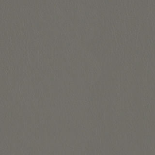PELA MEMO SAMPLE