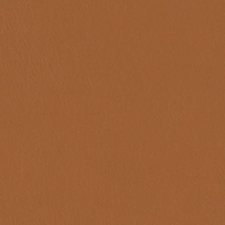 PELA MEMO SAMPLE