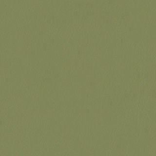 PELA MEMO SAMPLE