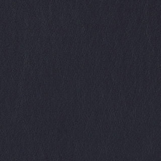 PELA MEMO SAMPLE
