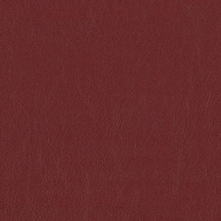 PELA MEMO SAMPLE