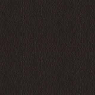 PELA MEMO SAMPLE