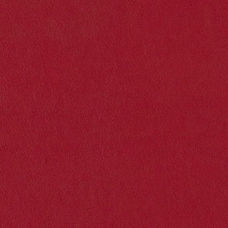 PELA MEMO SAMPLE