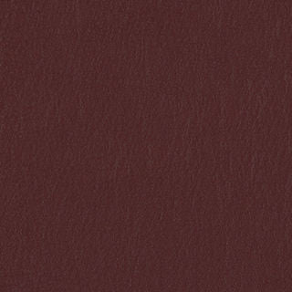 PELA MEMO SAMPLE
