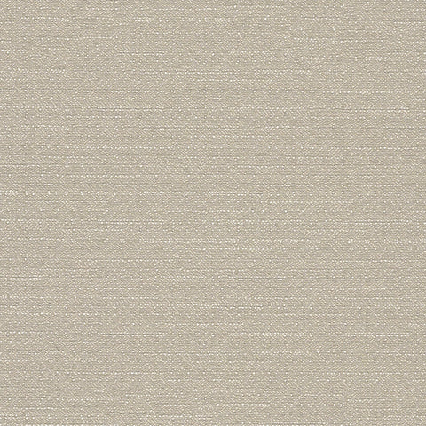 WARP SPEED MEMO SAMPLE