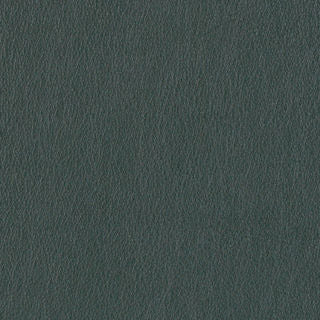 SEATING LEATHER MEMO