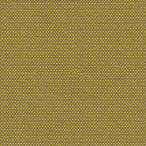 ITERATE MEMO SAMPLE