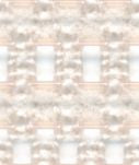 TESS MESH
