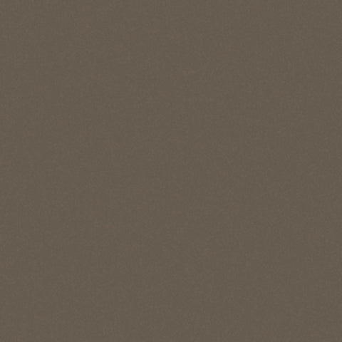 VARIABLE CHAIR MEDIUM TAUPE 6G
