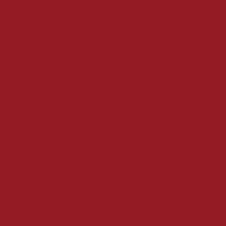 ZONE PLASTIC FIRE T