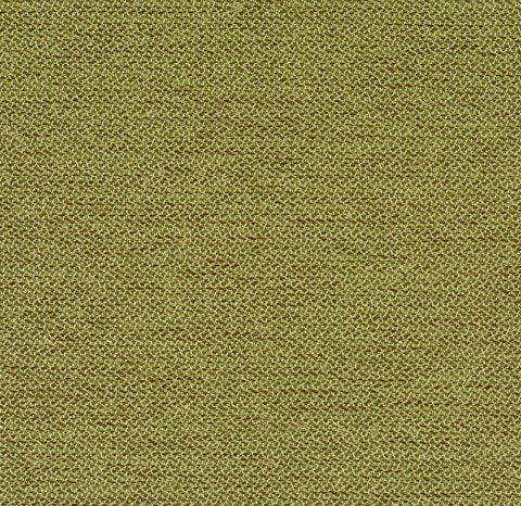 PERCEPT MEMO SAMPLE