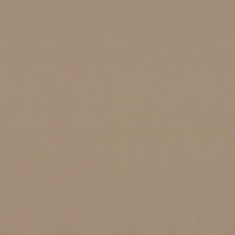 TOP COAT MEMO SAMPLE
