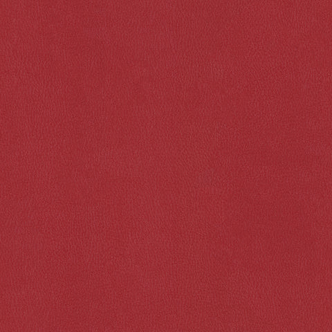TOP COAT MEMO SAMPLE