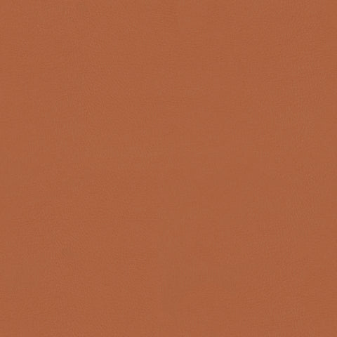 TOP COAT MEMO SAMPLE