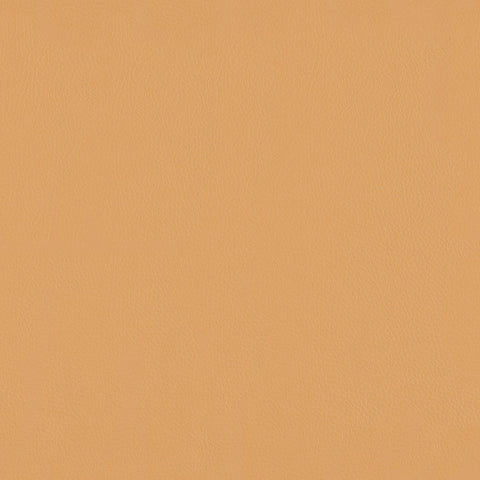 TOP COAT MEMO SAMPLE
