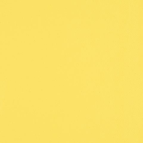 TOP COAT MEMO SAMPLE