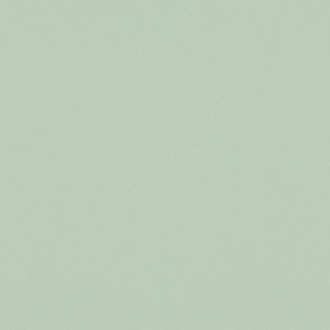 TOP COAT MEMO SAMPLE