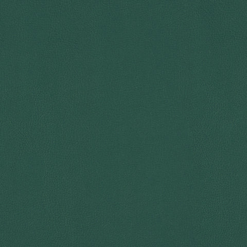 TOP COAT MEMO SAMPLE