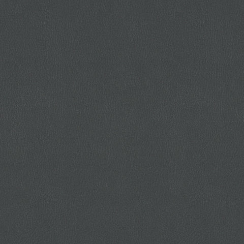 TOP COAT MEMO SAMPLE