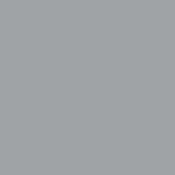 MICA PAINT PLATINUM 60/7